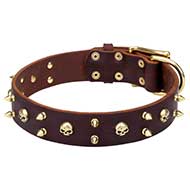 'Hard Rock' Leather Dog Collar with Brass Spikes and Skulls