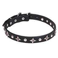 "Pleiades" 1 inch (25 mm) Leather Dog Collar with Chrome Plated Stars and Studs