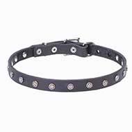 Handcrafted 4/5 inch (20 mm) Leather Dog Collar with Nickel Plated Stars - "Stellar"