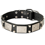 Designer Leather Dog Collar With Vintage Nickel Plates and Pyramids