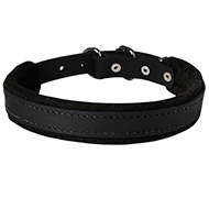Beautiful Collar with Felt Padding for Attack / Protection Training