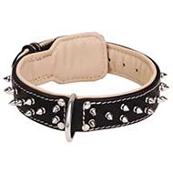 Leather dog collar with 2 rows of nickel-plated spikes