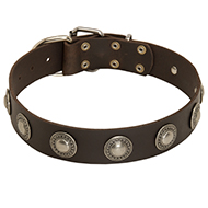 Wide Leather Collar with Silver Conchos