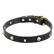 "Rock the Gosh" Spiked Leather Dog Collar with Brass Skulls