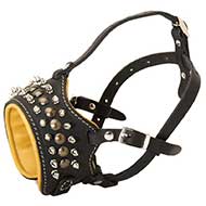 Designer Leather Dog Muzzle Padded Inside with Spikes and Studs