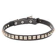 'King Studs' Leather Dog Collar with Chrome Plated Adornments - 4/5 inch (20 mm)