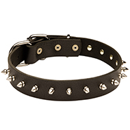 Leather Spiked Dog Collar