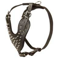 Posh Leather Harness-Strong Training Spiky Harness
