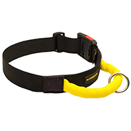 Water Resistant Nylon Dog Collar with Comfortable Handle