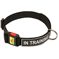 Multipurpose Service Nylon Collar with Patches