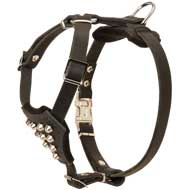 Studded Leather Puppy Harness