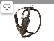 spiked-studded-harnesses-subcategory-leftside-menu