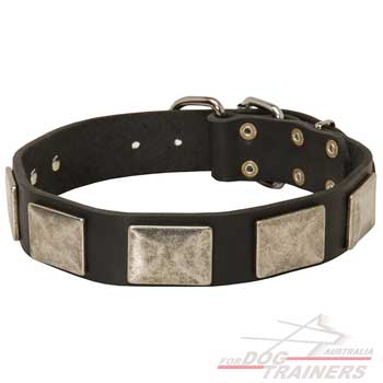 Leather collar for dog walking in style