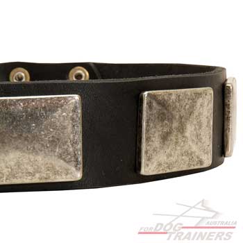 Nickel plates on leather dog collar
