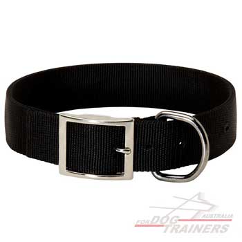 Nylon dog collar with steel fittings