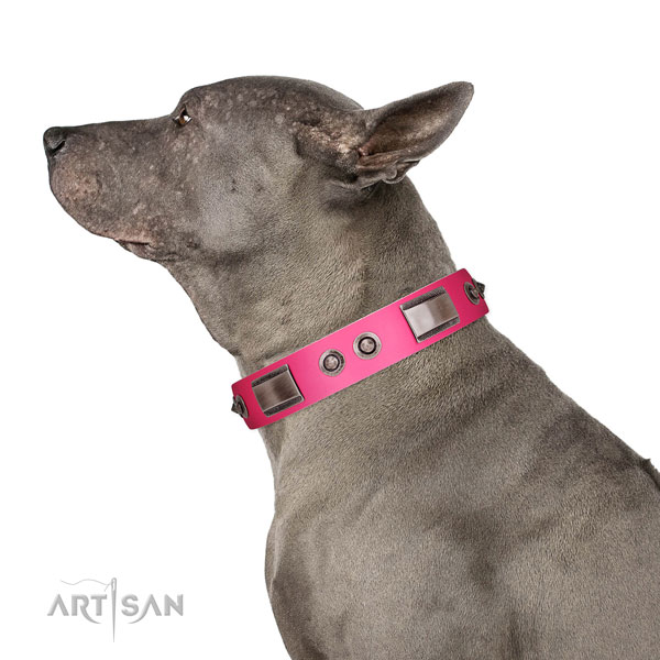 Designer genuine leather dog collar with studs