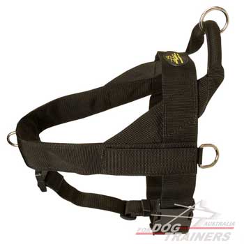 Dog harness with quick release buckle