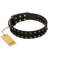 "Star Way" FDT Artisan Black Leather dog Collar with Bronze-like and Silver-like Star Studs