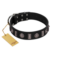 "Silver Spikes" Exclusive FDT Artisan Black Leather dog Collar