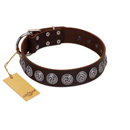 "Charming Circles" FDT Artisan Brown Leather dog Collar with Silver-like Studs