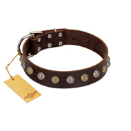 "Gape Buster" FDT Artisan Brown Leather dog Collar with One Row of Studs