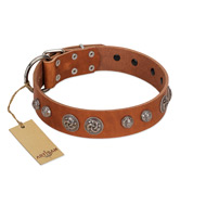 "Era Infinitum" FDT Artisan Tan Leather dog Collar Adorned with Chrome-plated Circles
