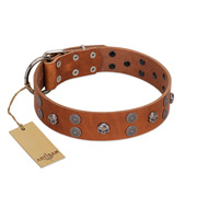 "Road Rider" FDT Artisan Tan Leather dog Collar with Old Silver-like Skulls and Medallions