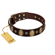 "Bronze Idol" FDT Artisan Brown Leather dog Collar with Eye-catching Ovals and Small Studs