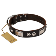 "Baller Status" FDT Artisan Brown Leather dog Collar Adorned with a Set of Chrome Plated Studs and Plates