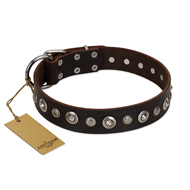 "Gorgeous Shields" FDT Artisan Brown Leather dog Collar with Old Silver-like Circles and Small Camomiles