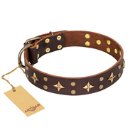 "High Fashion" FDT Artisan Embellished Brown Leather dog Collar