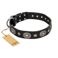 "Black Tie" FDT Artisan Leather dog Collar with Old Silver-like Decorations