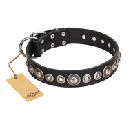 "Strict Elegance" FDT Artisan Black Leather dog Collar with Decorations