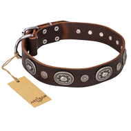 "Extra Pizzazz" FDT Artisan Adorned Brown Leather dog Collar