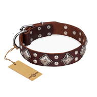 "King of Grace" FDT Artisan Stylish Leather dog Collar with Old Silver-Like Plated Decorations