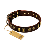 "Golden Elegance" FDT Artisan Brown Leather dog Collar with Old Bronze-like Decorations