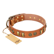 "Natural Beauty" FDT Artisan Tan Leather dog Collar with Old Bronze-like Circles and Plates