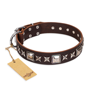 "Perfect Impression" FDT Artisan Brown Leather dog Collar with Silvery Square Studs
