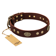 "Old-fashioned Glamor" FDT Artisan Brown Leather dog Collar with Old Bronze Look Plates and Circles