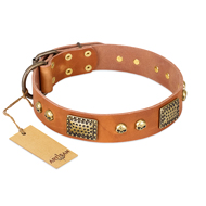 "Saucy Nature" FDT Artisan Tan Leather dog Collar with Old Bronze Look Plates and Skulls