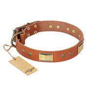 "Enchanting Spectacle" FDT Artisan Tan Leather dog Collar with Old Bronze Look Plates and Round Studs