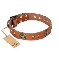 "Stunning Dress" FDT Artisan Tan Leather dog Collar with Old Bronze Look Plates and Studs