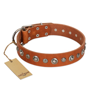 "Gorgeous Roundie" FDT Artisan Tan Leather dog Collar with Chrome-plated Circles