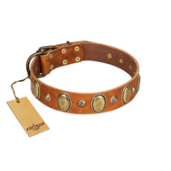 "Venus Breath" FDT Artisan Tan Leather dog Collar with Vintage Looking Oval and Round Studs