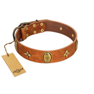 "Space Warrior" FDT Artisan Tan Leather dog Collar with Ovals and Stars