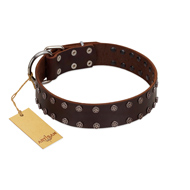 "Star Party" Handmade FDT Artisan Brown Leather dog Collar with Silver-Like Studs
