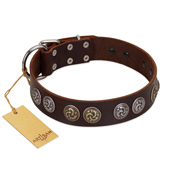 "Treasure Hunter" FDT Artisan Brown Leather dog Collar with Old-Bronze-like and Silvery Medallions
