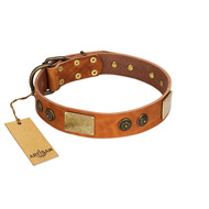 "Bronze Century" FDT Artisan Tan Leather dog Collar with Plates and Brooches with Cool Ornament