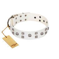 "Rock the Sky" Durable FDT Artisan White Leather dog Collar with Chrome-plated Decorations