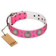 "Silver Star" Fantastic FDT Artisan Pink Leather dog Collar with Engraved Studs